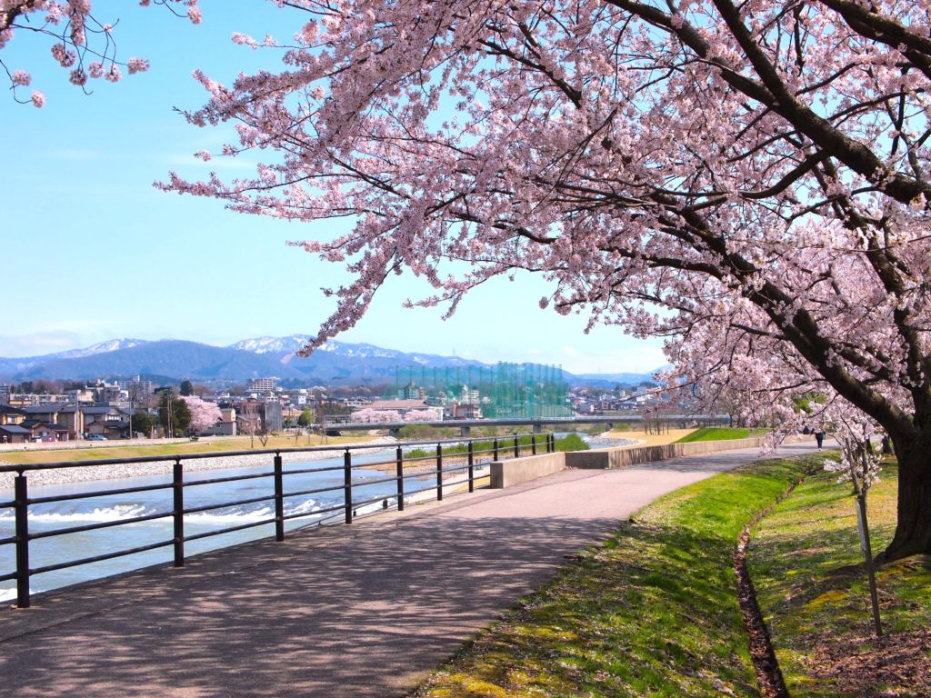 spring-kanazawa-saigawa-tateyama-view
