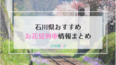 ohanami-train-info-eye-ishikawa19