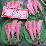 pufferfish-how-do-theysell-ishikawa