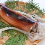 Japanese common squid